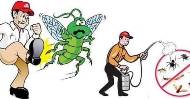 شركة المثالية لمكافحة الحشرات بالجبيل | رش مبيدات بالجبيل
